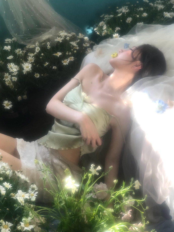 蜘蛛池能否提升收录质量？