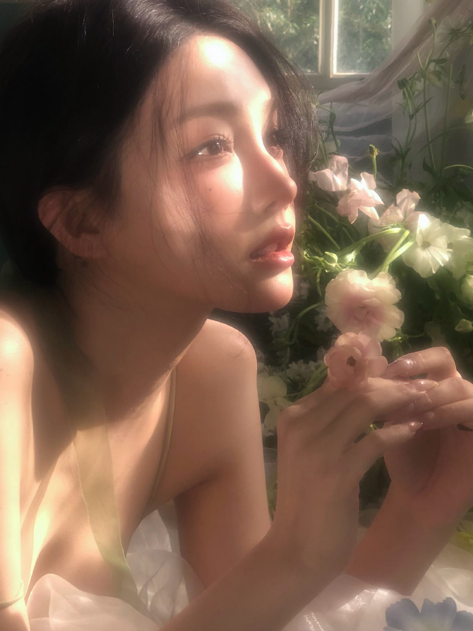 蜘蛛池中的IP地址轮换策略